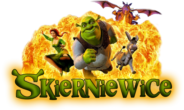 Koszulka dla młodych dziewczyn  - Shrek - Skierniewice