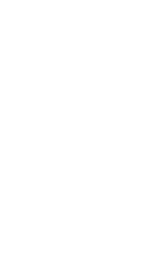 Świru