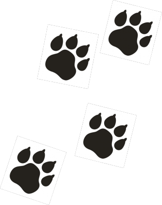 Bluza z kapturem biała męska