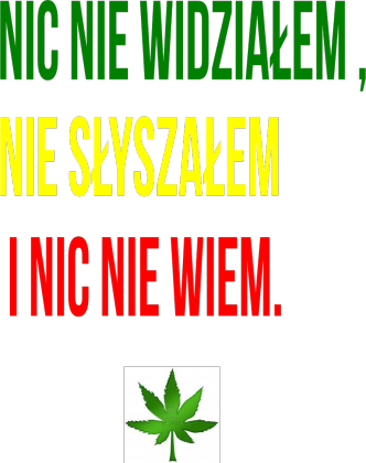 Koszulka Nic nie widziałem, nie słyszałem i nic nie wiem