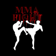 Fight MMA