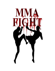 Kubek MMA