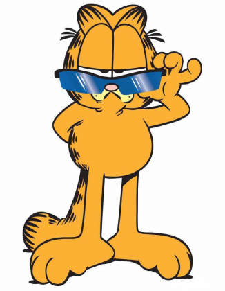 Garfield 12