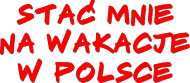 t-shirt, wakacje w Polsce