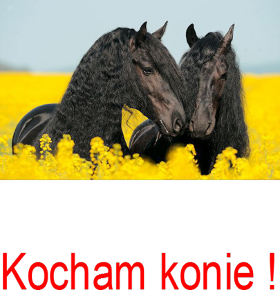 konie