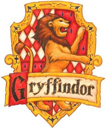 męska koszulka Gryffindor