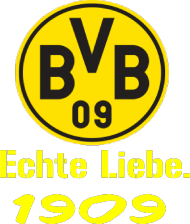 koszulka kibica Borussi Dortmund