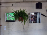 BIOS i ZOE - PAIL - Polish Artists In London