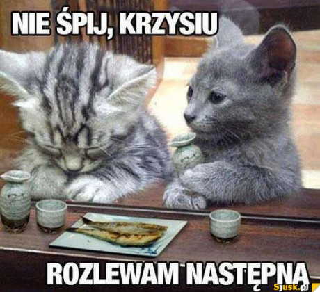 Nie śpij kszysiu