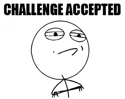 Challenge Accepted blouse 2