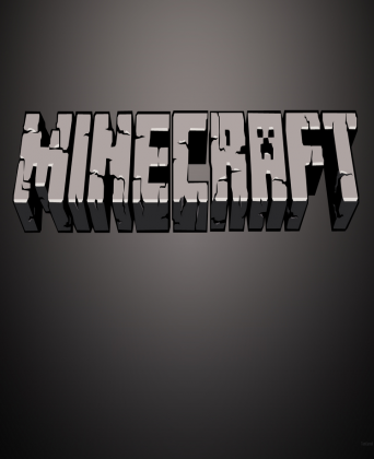 Koszulka Minecraft 2