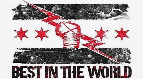 Miś Cm Punk "Best In The World"