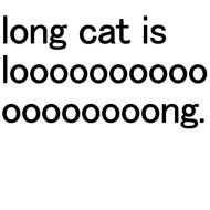 4chan Long Cat Is Looong DWUSTRONNA