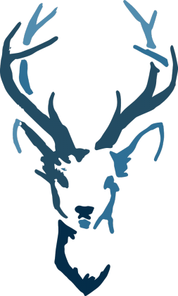 z jeleniem w terenie 3