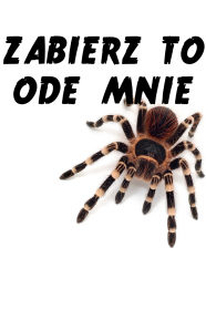 Zabierz to ode mnie - męska