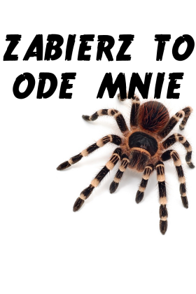 Zabierz to ode mnie - męska