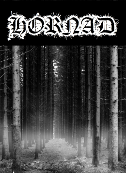 Koszulka Old School