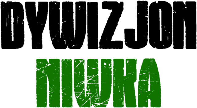 Dywizjon Niwka koszulka B1