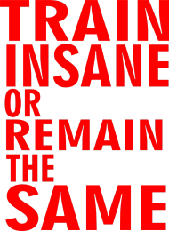 TRAIN INSANE OR REMAIN THE SAME