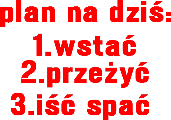 Plan na dziś...