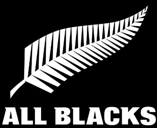 Koszulka z logiem Nowej Zelandii ALL BLACKS