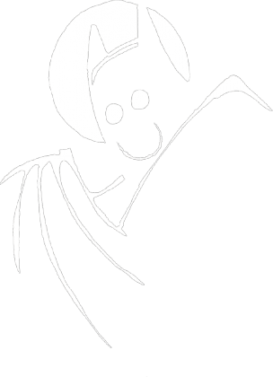 Bokserka damska - Szczęśliwy Batman