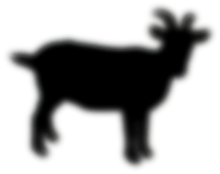 KoZo_I_Ziomeczki_LE_black