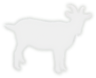 KoZo_I_Ziomeczki_LE_white