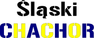 T-schirt