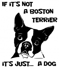 Koszulka czarno biała - Boston