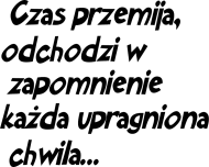 Cytat