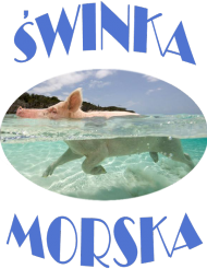 t-shirt świnka morska dziecięcy czarny