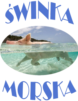 t-shirt świnka morska dziecięcy czarny