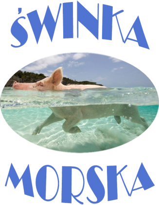 t-shirt świnka morska damski różowy