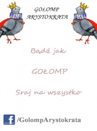 Koszulka GOŁOMP ARYSTOKRATA "I" WHITE MĘSKA