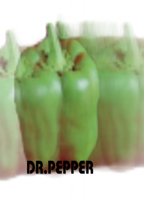 daert