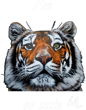 Tiger bluza