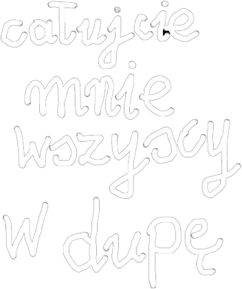 BLUZA CAŁUJCIE MNIE WSZYSCY W DUPĘ