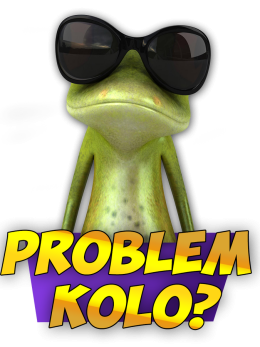 bluza PROBLEM KOLO?