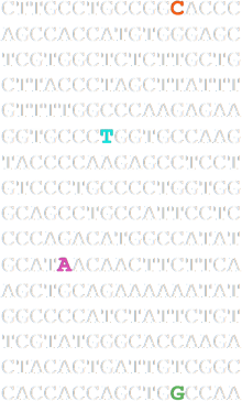 Koszulka damska czarna - DNA