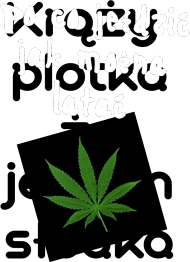 Po co jeździć jak można latać