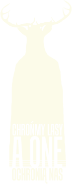 Chrońmy lasy, a one ochronią nas!