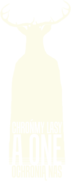 Chrońmy lasy, a one ochronią nas!