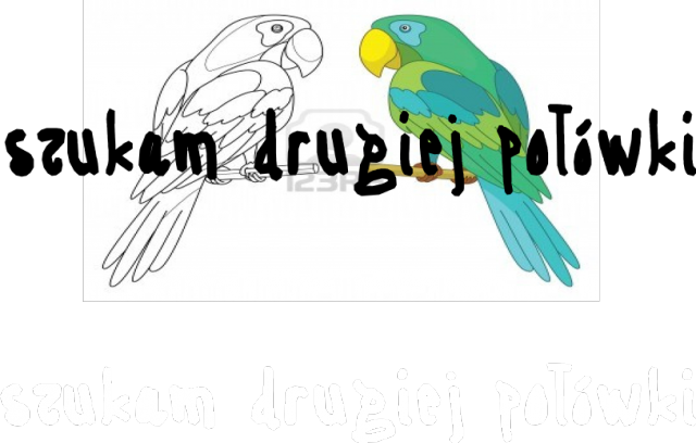 szukam drugiej połowy