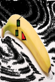 Koszulka męska Banan