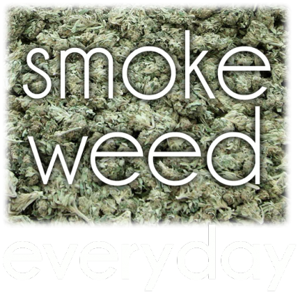 smoke weed everyday koszulka czarna