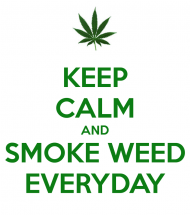 Koszulka - Keep calm and smoke weed everyday