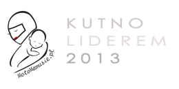 Kubek Kutno 2013