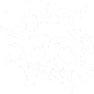 Raccoon Stain - Bluza