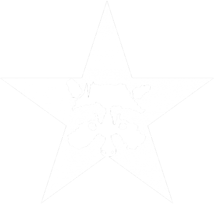 Raccoon Star - Bluza